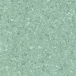 cactus.jpg