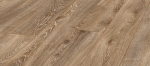 d4795.jpg