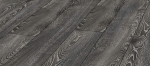 d4798.jpg