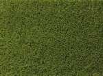 mountain_creek.jpg