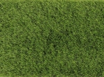 pine_valley.jpg