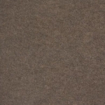 t7745.jpg