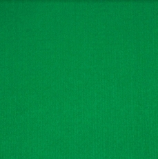 Выставочный ковролин 0510