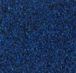 5546.jpg