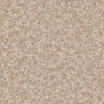 691.jpg