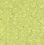 kiwi.jpg