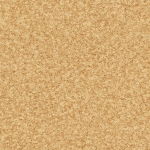 nevada_260m.jpg
