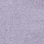 rz280.089to4.jpg
