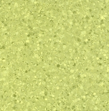 Grabo Fortis Kiwi