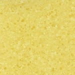canari.jpg