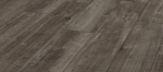 d4785exquisit_plus.jpg