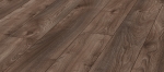 d4791.jpg