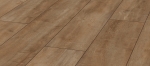d4983exquisit_plus.jpg