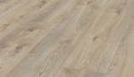 ml1018.jpg