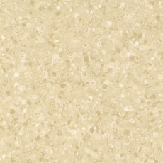 Grabo Fortis Sand