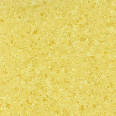 Grabo Fortis Canari