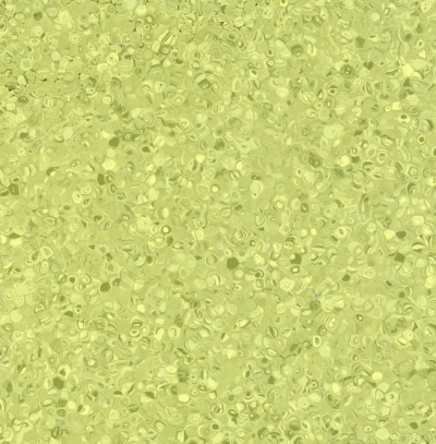 Grabo Fortis Kiwi