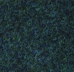 6619.jpg